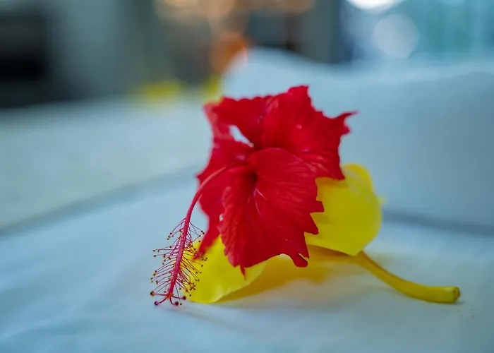 Paradise Breeze *